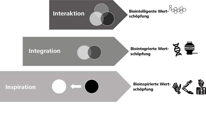 Abbildung Integrationsebenen