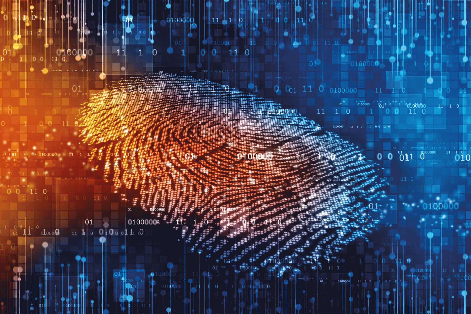 Digitaler Fingerabdruck