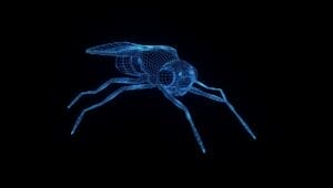 eine Fliege im Hologramm- und Drahtgitterstil