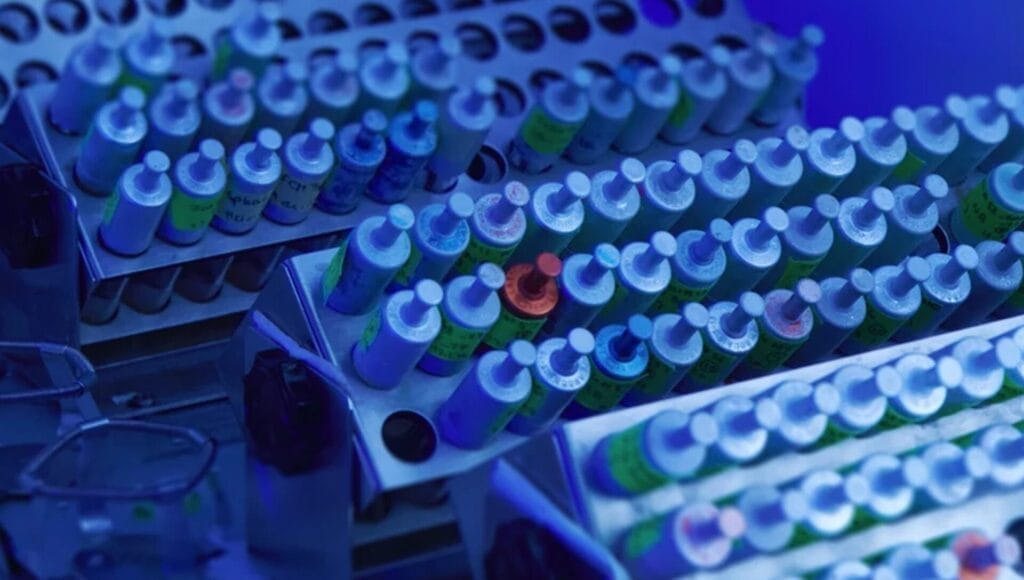 Max-Planck-Institut für terrestrische Mikrobiologi_web Abbildung 1: Erzeugung verschiedener Mutationen. (Max-Planck-Institut für terrestrische Mikrobiologie/Foto: Gina Bolle)
