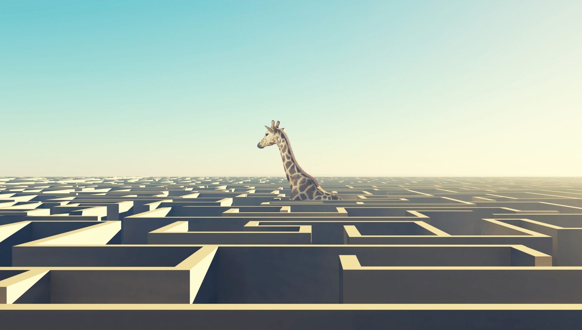313_Website Giraffe im Labyrinth