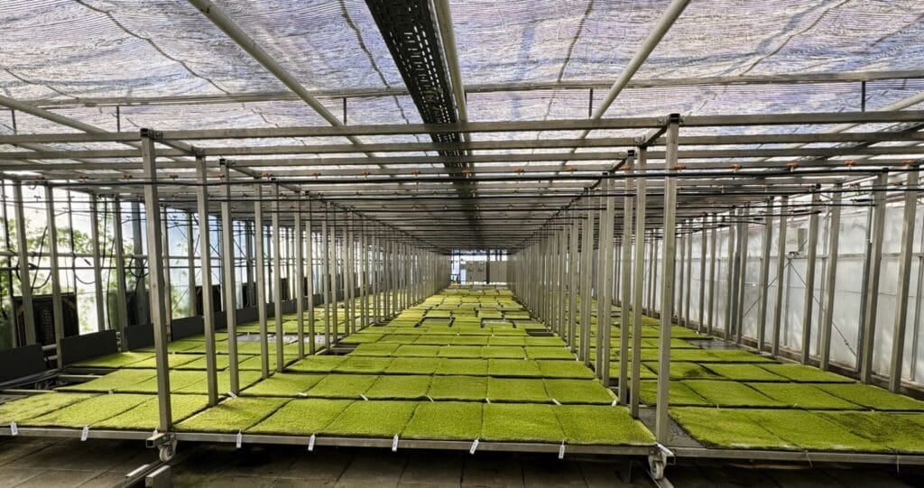 GCS_Abbildung 4 Abbildung 2: Moosfarm: Digitale Moosfarm: sensorgestützte Kultivierung und Kreislauf. (Green City Solutions)