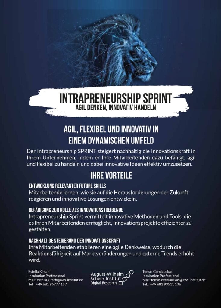 Intrapreneurshipsprint anzeigen 1_final